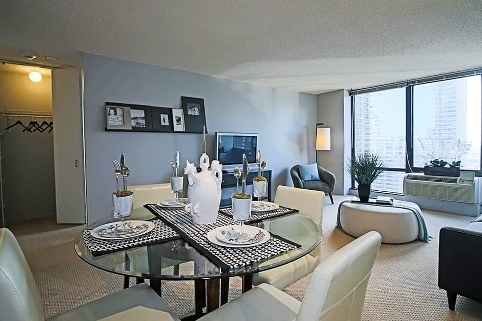 Chicago Condo: 317 North Michigan Avenue