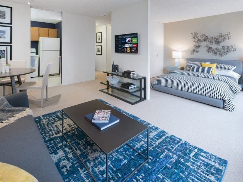 Chicago Condo: 317 North Michigan Avenue