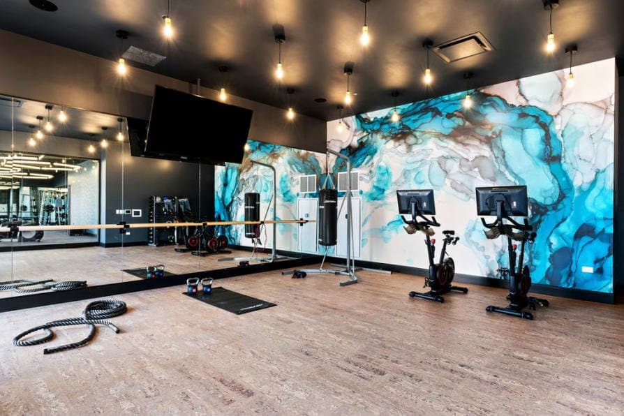 Chicago Condo: 1124 West Jackson Boulevard