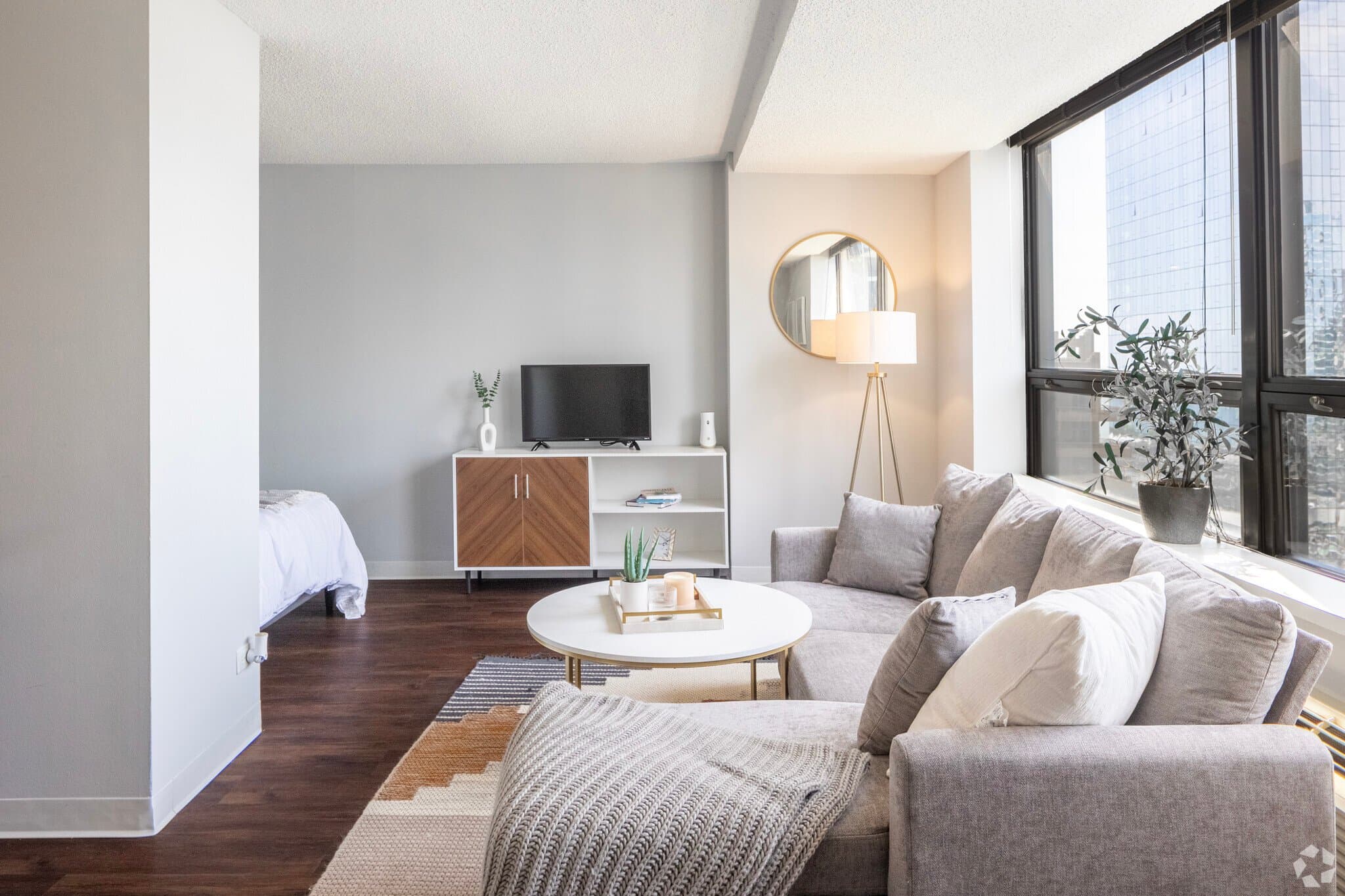 Chicago Condo: 439 East Illinois Street