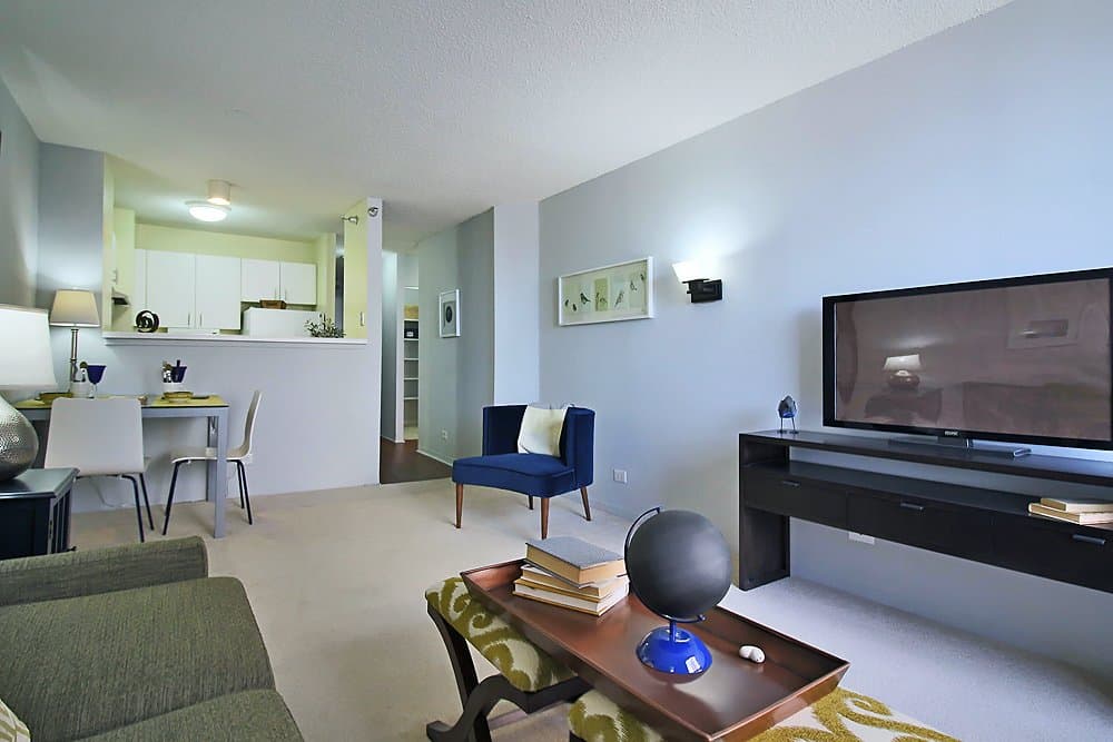 Chicago Condo: 439 East Illinois Street