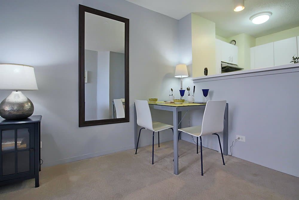 Chicago Condo: 439 East Illinois Street