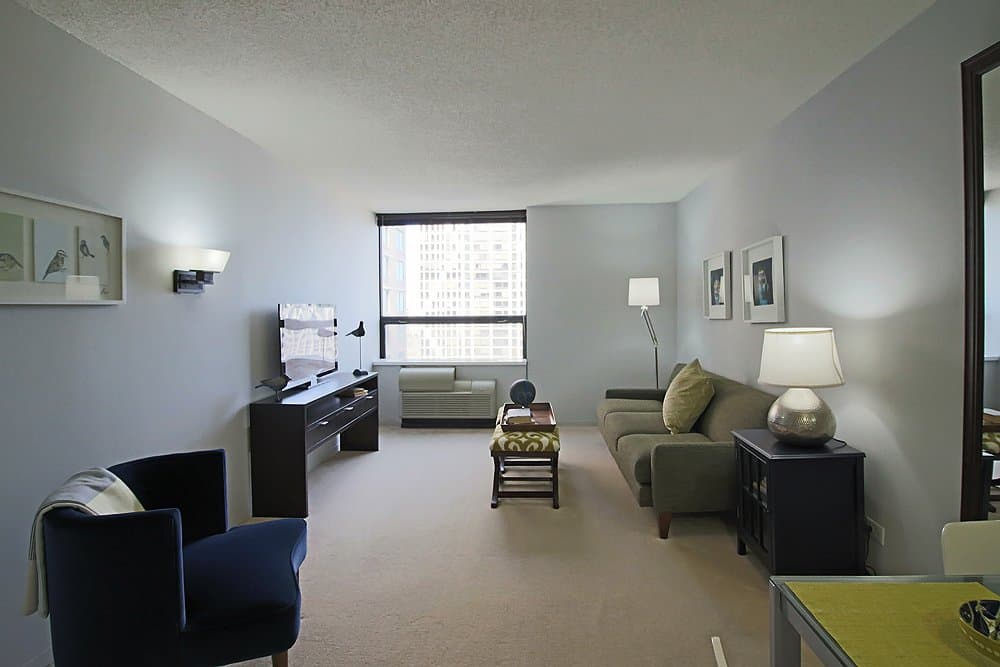 Chicago Condo: 439 East Illinois Street