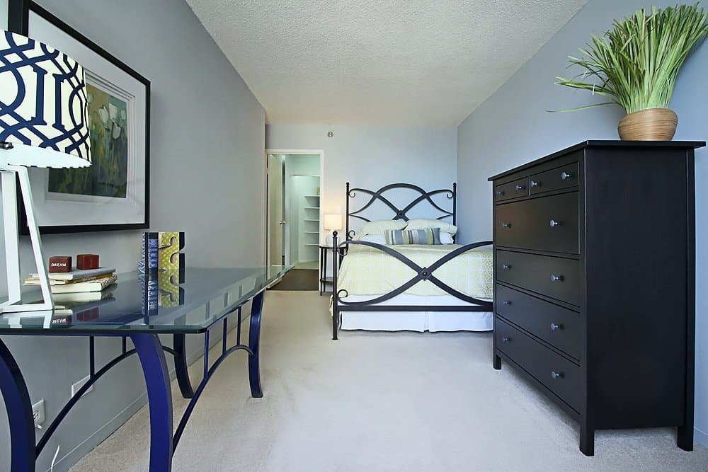 Chicago Condo: 439 East Illinois Street