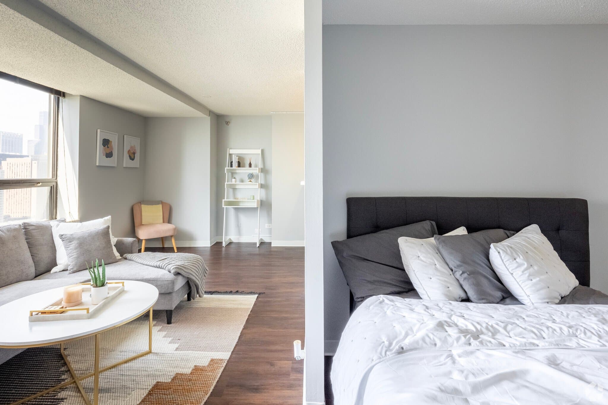 Chicago Condo: 439 East Illinois Street