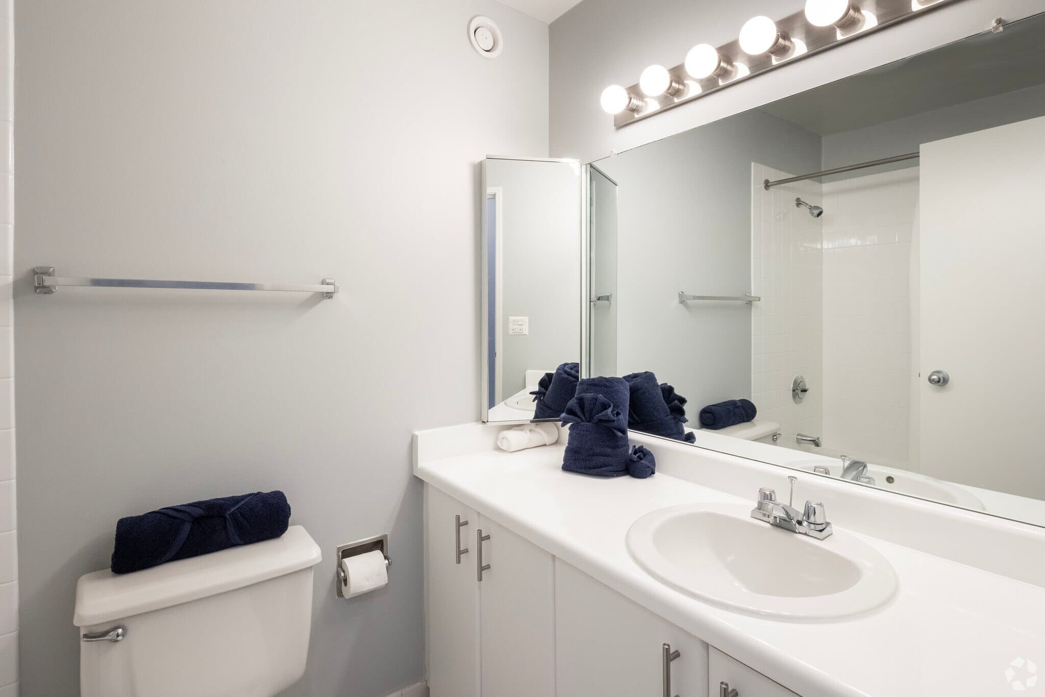 Chicago Condo: 439 East Illinois Street