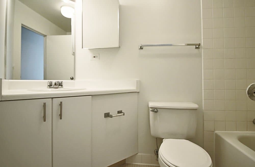 Chicago Condo: 437 East Illinois Street