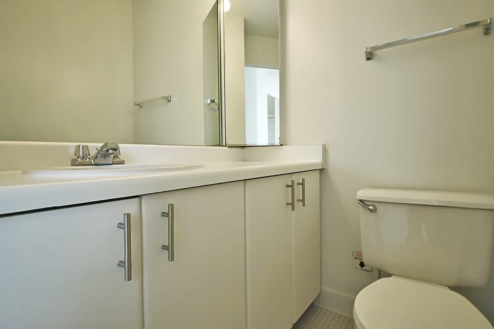 Chicago Condo: 437 East Illinois Street
