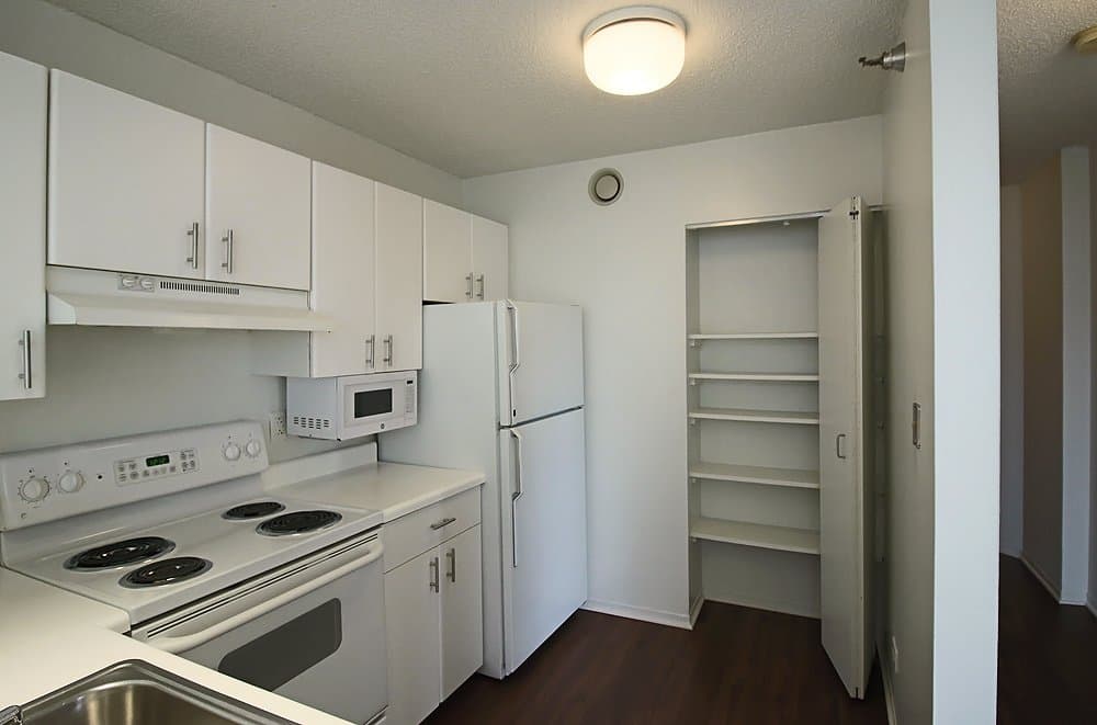Chicago Condo: 437 East Illinois Street