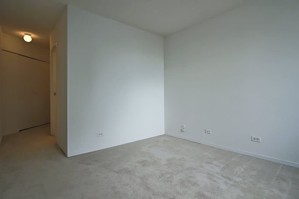 Chicago Condo: 437 East Illinois Street