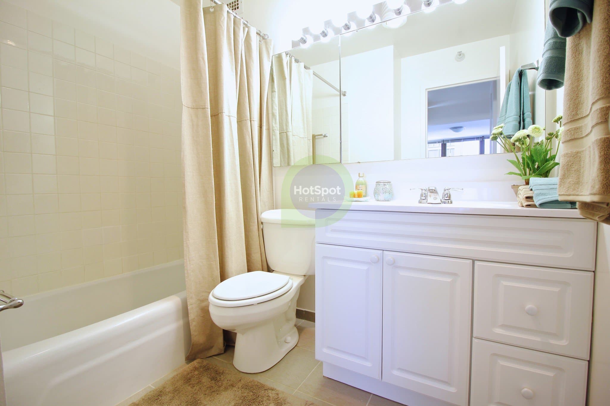 Chicago Condo: 419 East Erie Street