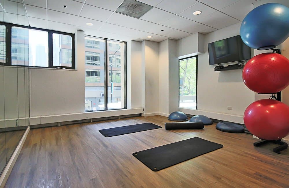 Chicago Condo: 419 East Erie Street