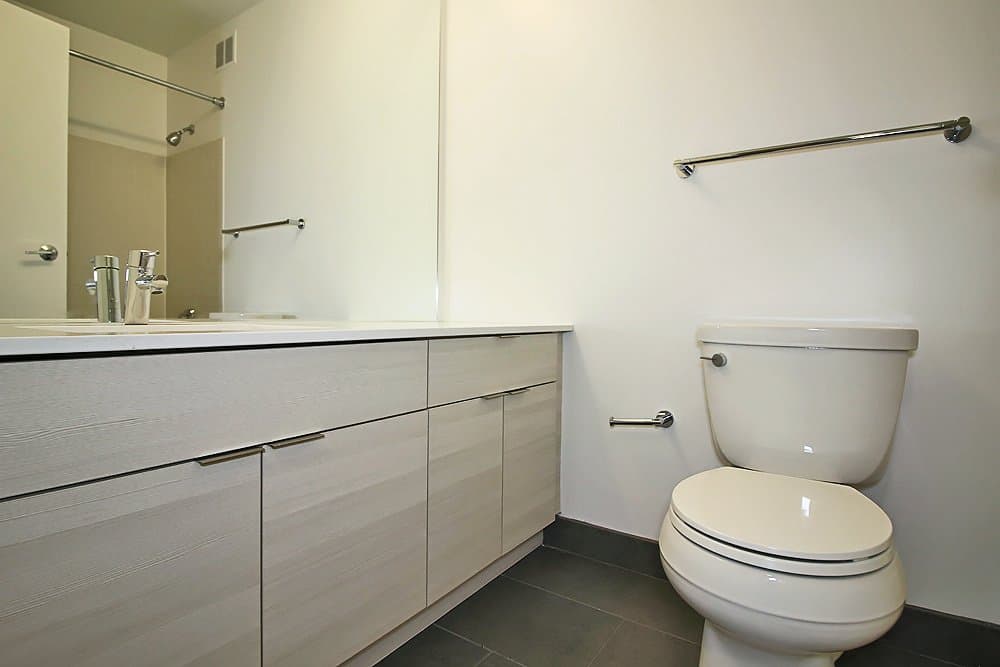 Chicago Condo: 419 East Erie Street