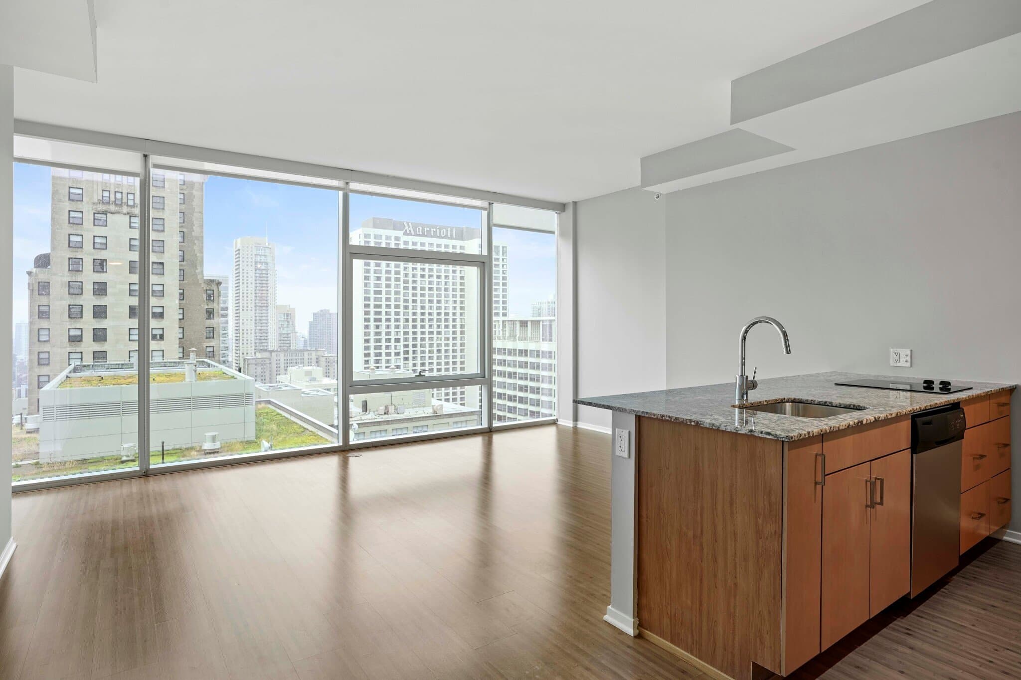 Chicago Condo: 167 East Ohio Street