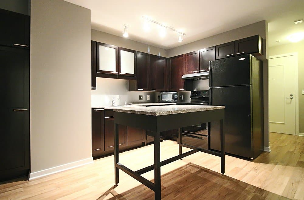 Chicago Condo: 154 North La Salle Street