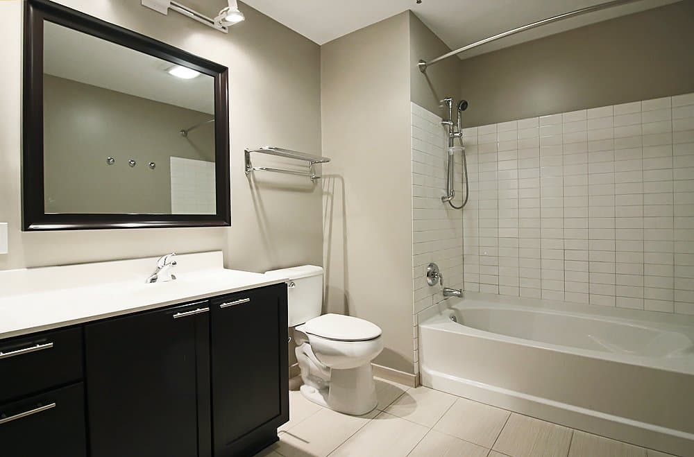 Chicago Condo: 154 North La Salle Street
