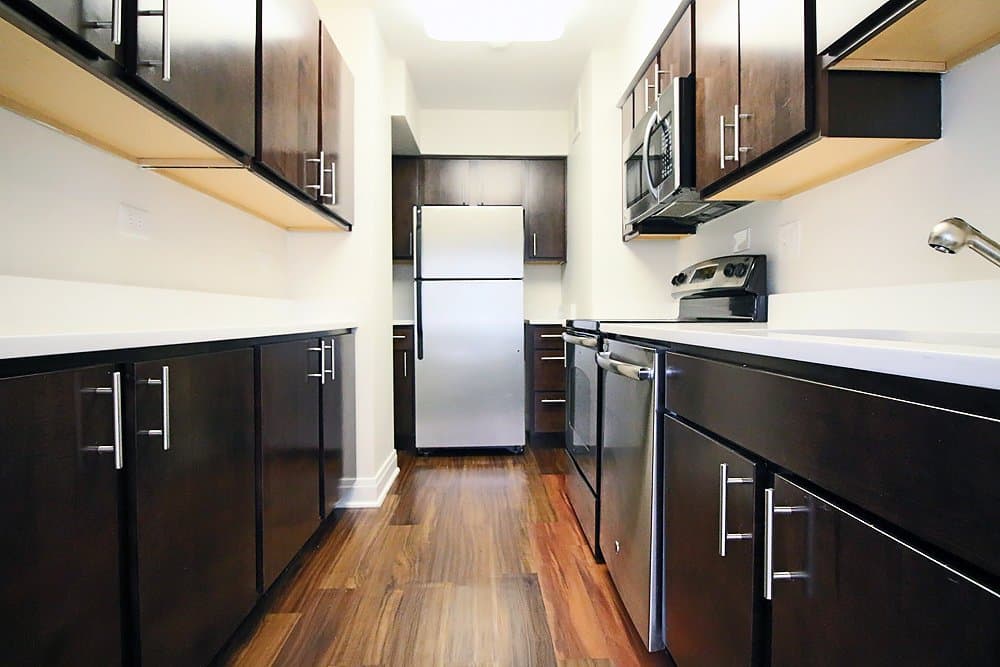 Chicago Condo: 201 E Walton Pl