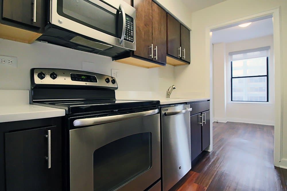 Chicago Condo: 201 E Walton Pl