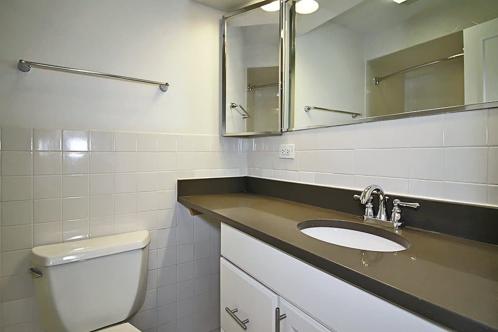 Chicago Condo: 201 E Walton Pl