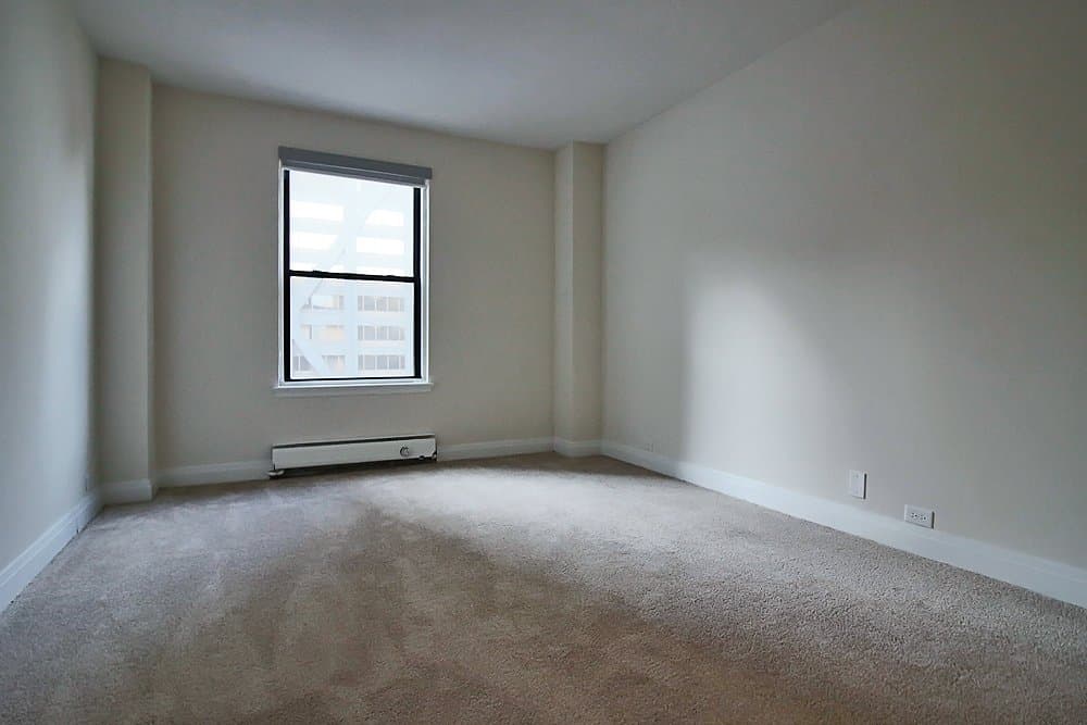 Chicago Condo: 201 E Walton Pl