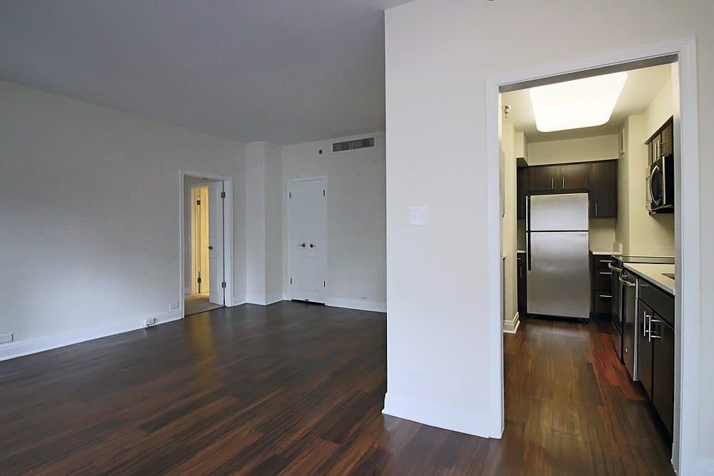 Chicago Condo: 201 E Walton Pl