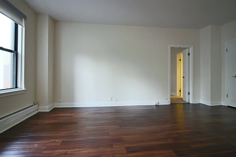 Chicago Condo: 201 E Walton Pl