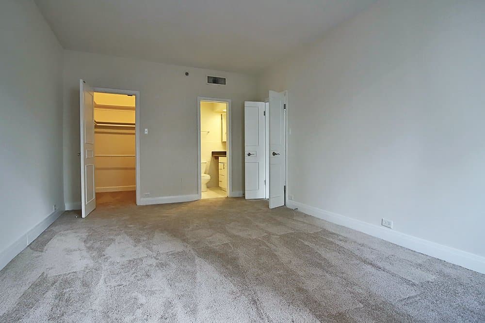 Chicago Condo: 201 E Walton Pl