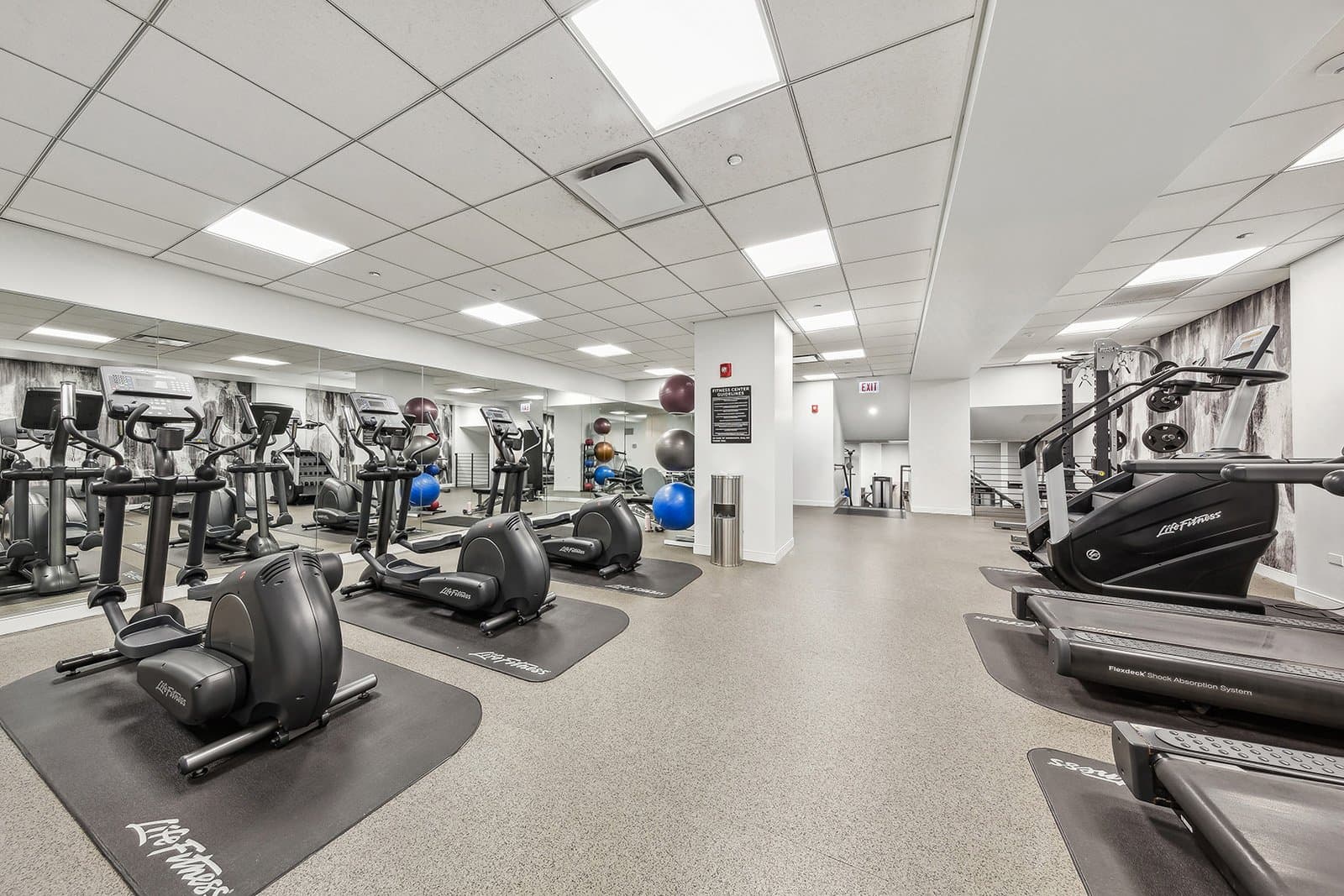 Chicago Condo: 201 E Walton Pl