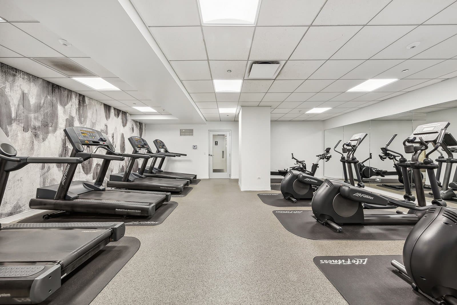 Chicago Condo: 201 E Walton Pl