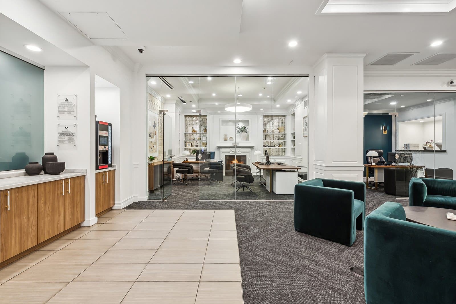 Chicago Condo: 201 E Walton Pl