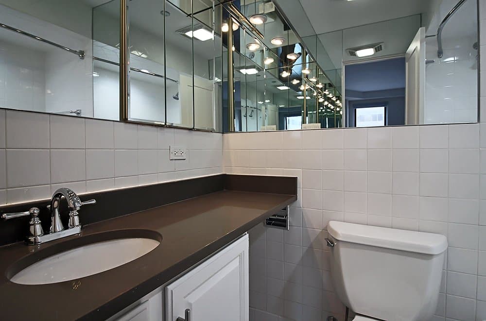 Chicago Condo: 201 E Walton Pl