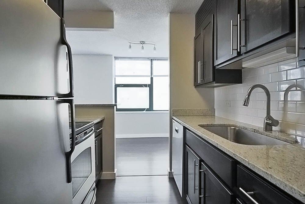 Chicago Condo: 610 North La Salle Drive