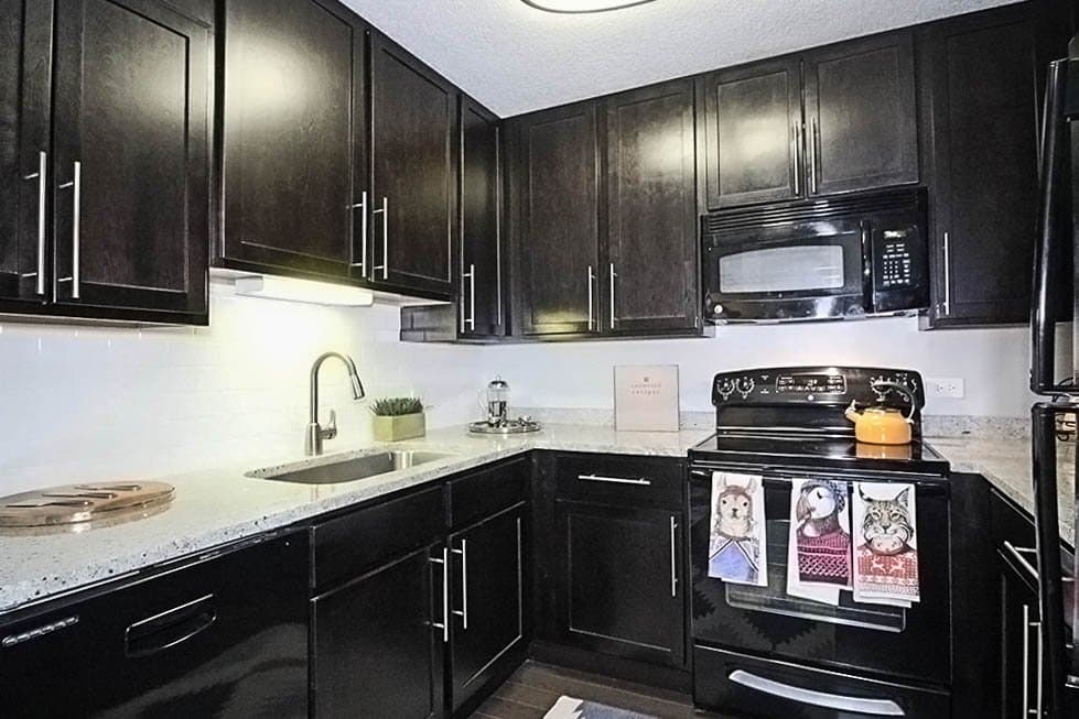 Chicago Condo: 610 North La Salle Drive