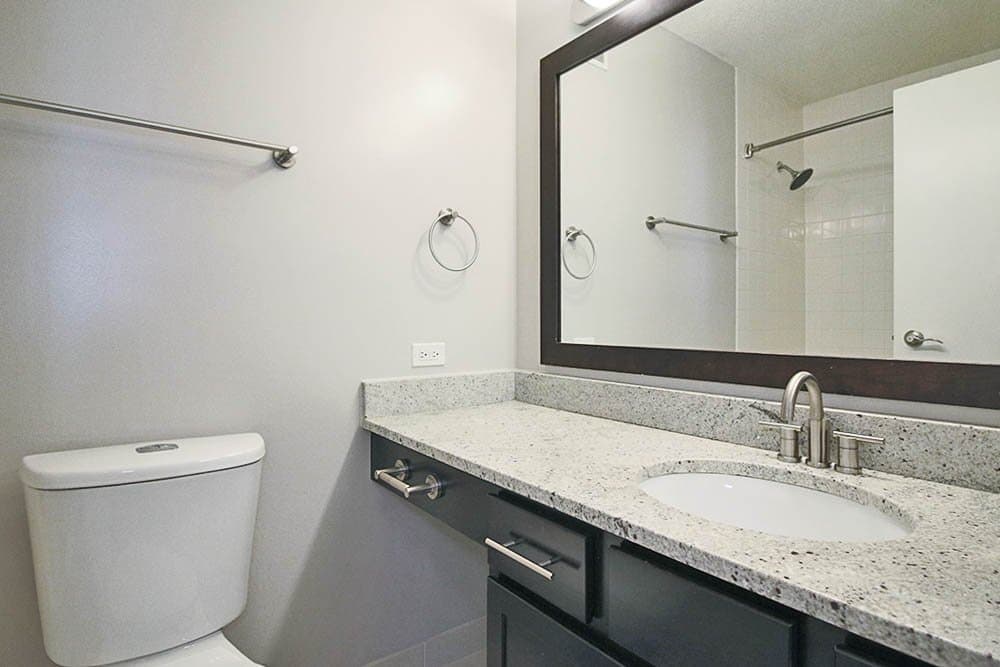 Chicago Condo: 610 North La Salle Drive