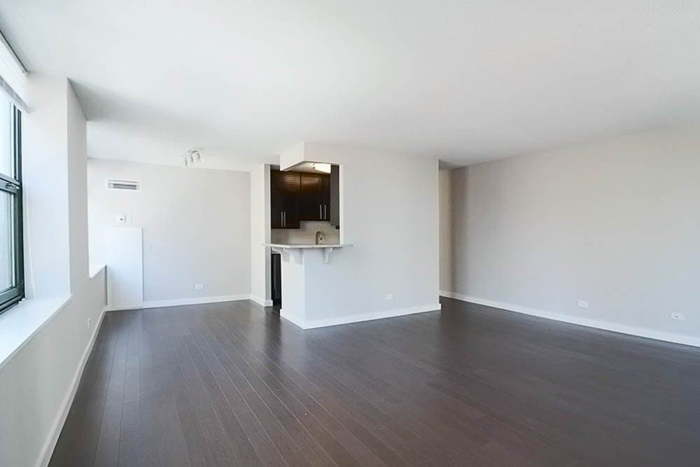 Chicago Condo: 610 North La Salle Drive
