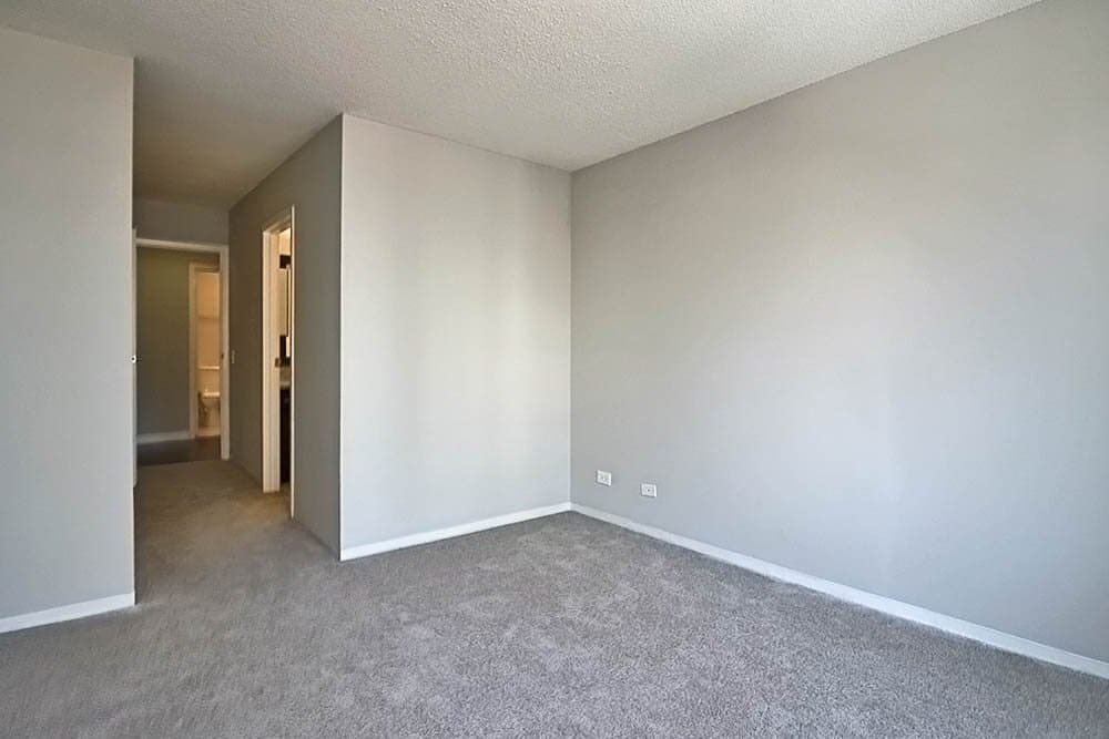 Chicago Condo: 610 North La Salle Drive
