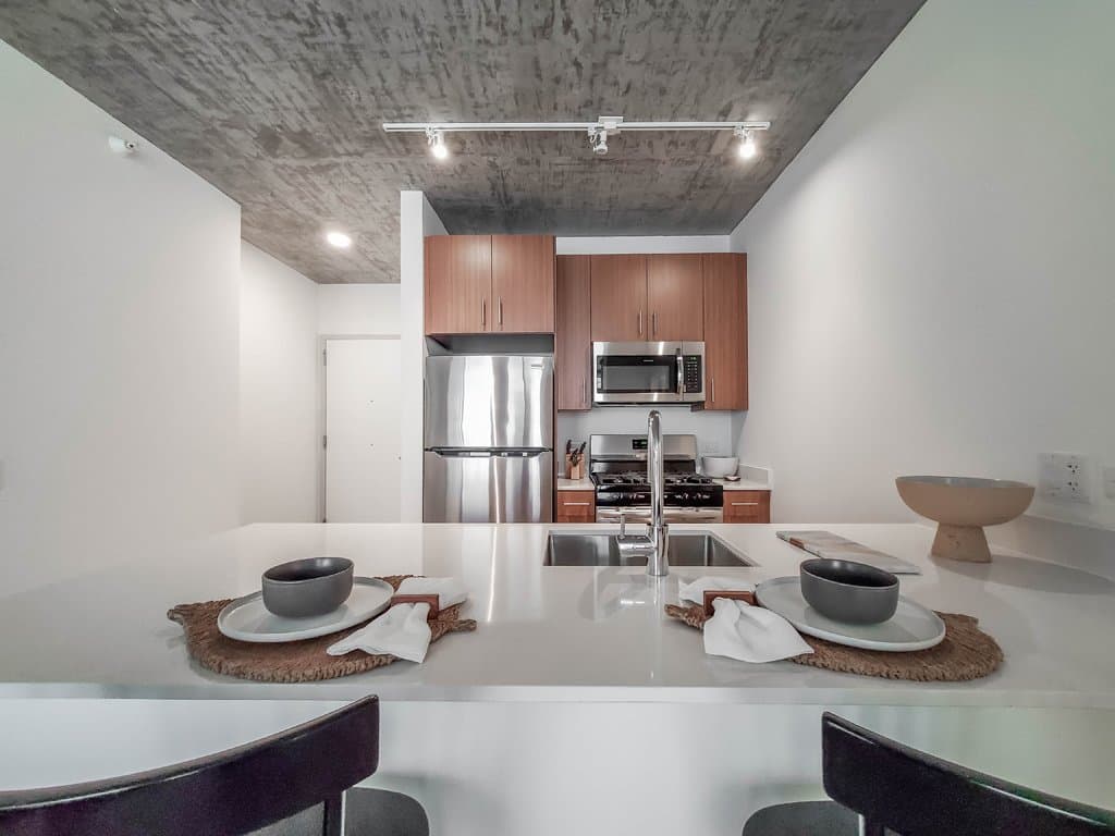 Chicago Condo: 1260 South Wabash Avenue