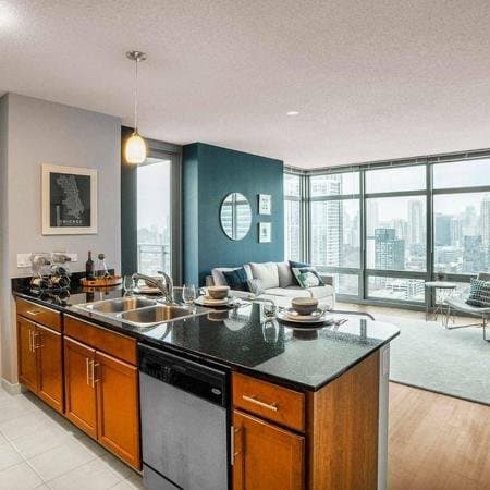 Chicago Condo: 640 West Fulton Market