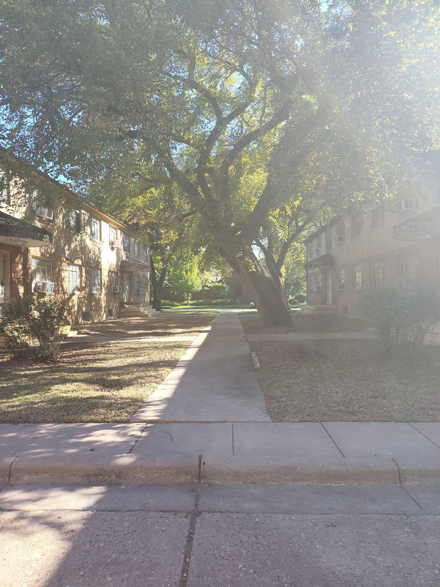 Wichita Apartment: 715 Buffum