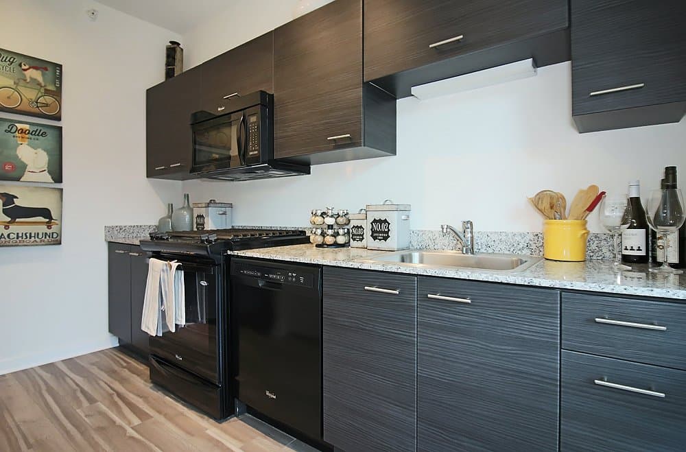 Chicago Condo: 229 West Institute Place