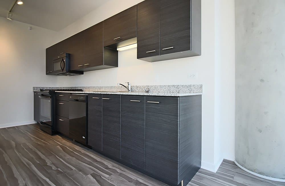 Chicago Condo: 229 West Institute Place