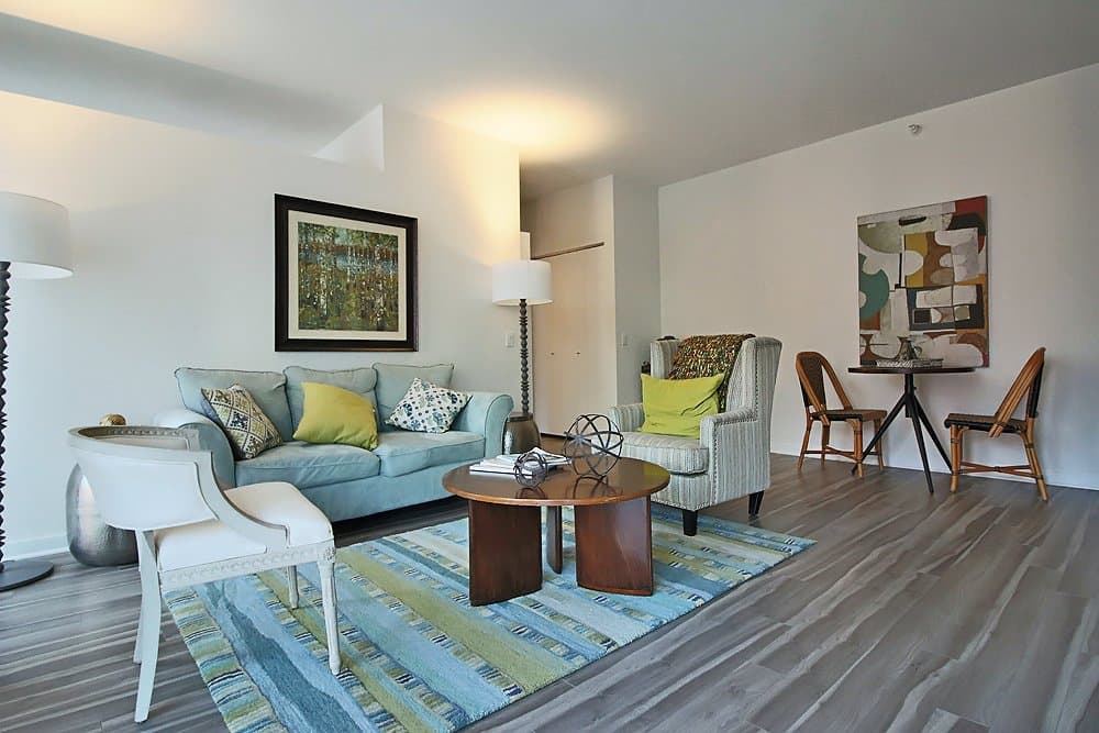 Chicago Condo: 229 West Institute Place