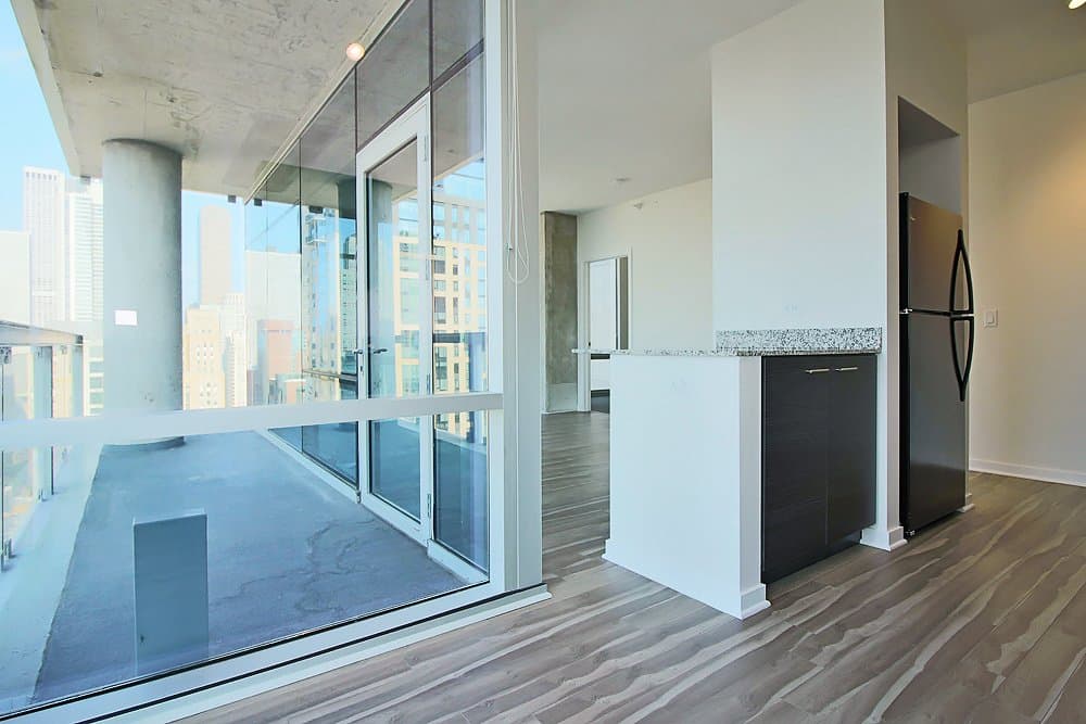 Chicago Condo: 229 West Institute Place