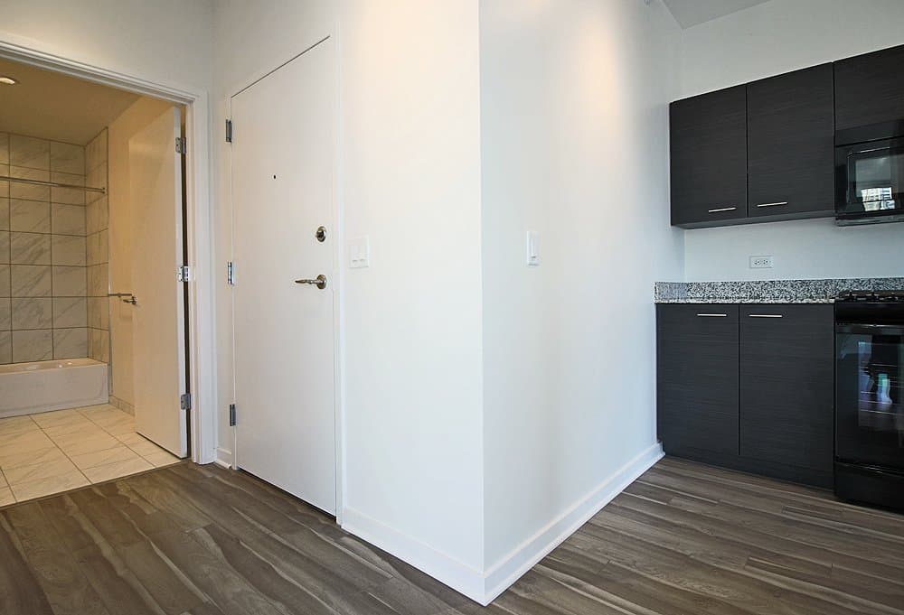 Chicago Condo: 229 West Institute Place