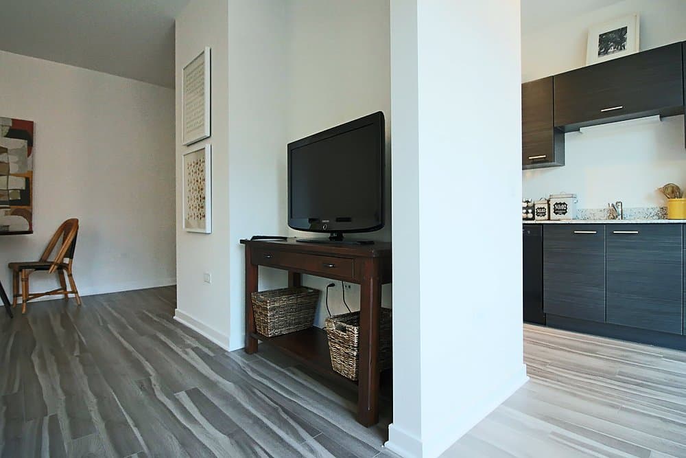 Chicago Condo: 229 West Institute Place