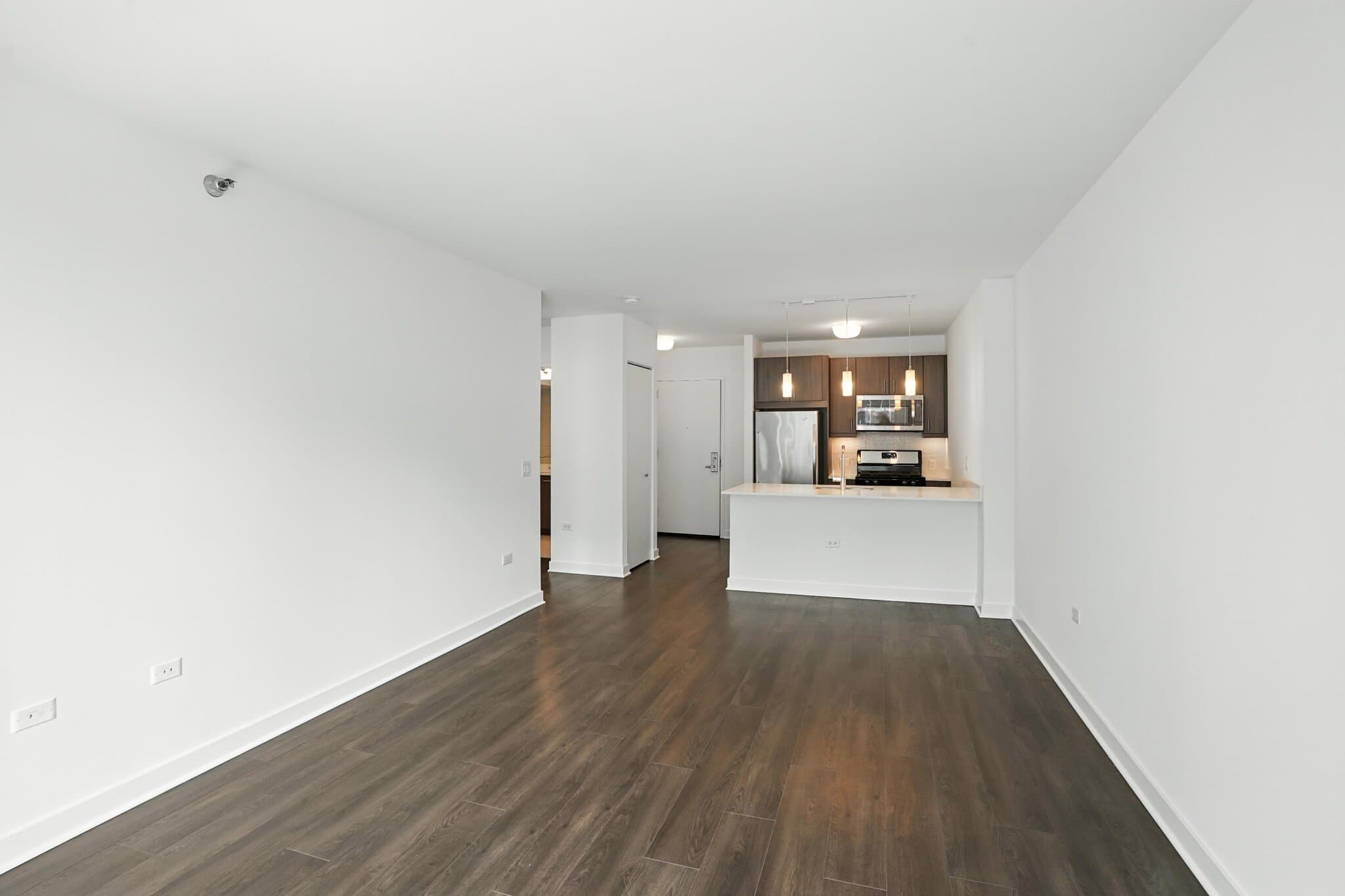 Chicago Condo: 119 North Dearborn Street