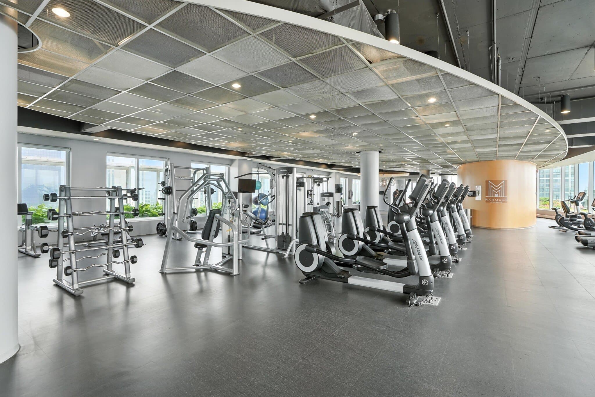 Chicago Condo: 119 North Dearborn Street
