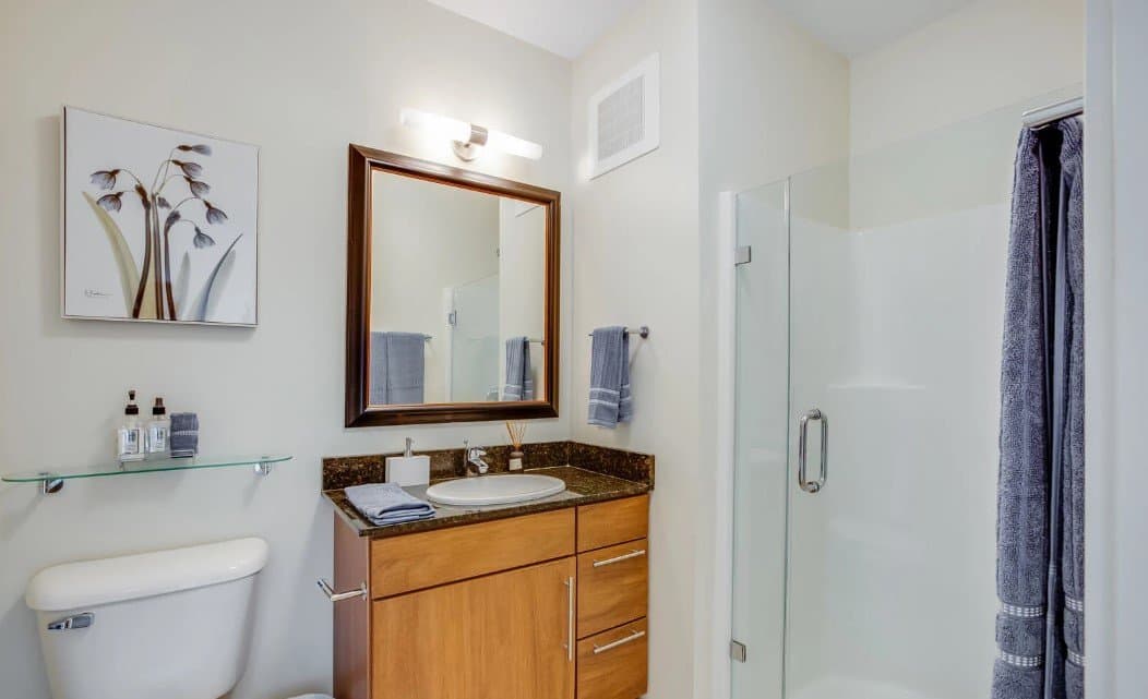 Chicago Condo: 232 West Ontario Street