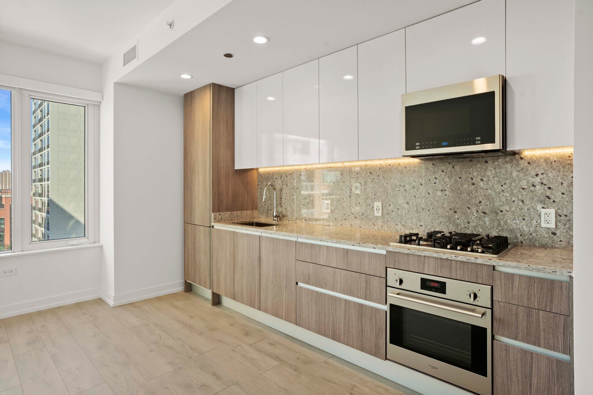 Chicago Condo: 1059 North Orleans Street