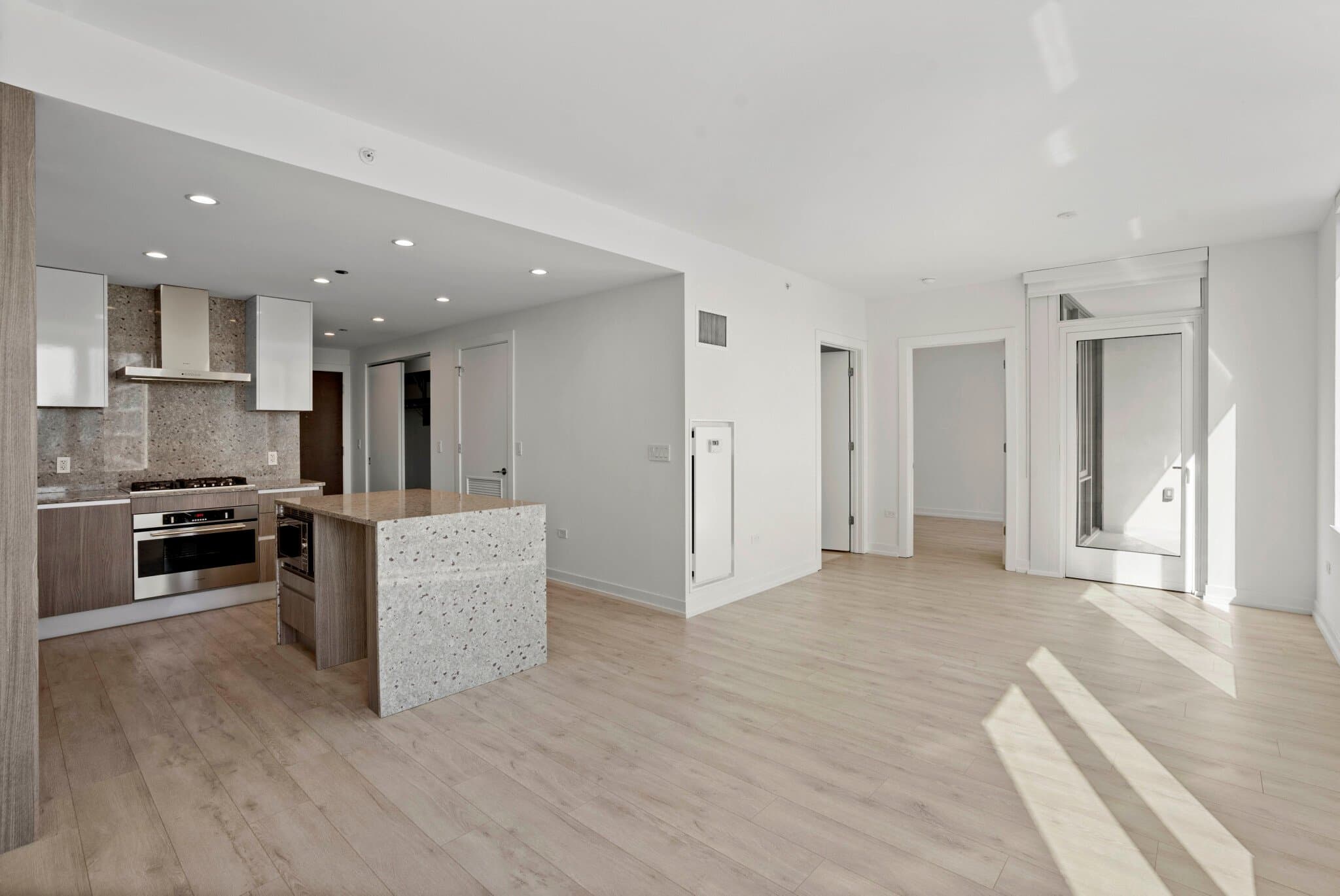 Chicago Condo: 1059 North Orleans Street